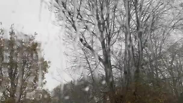 Szél Esővíz Hullik Ablaküvegre Víz Hátterén Keresztül Látható Fák — Stock videók