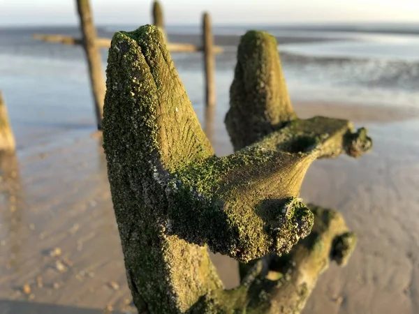 Winchelsea Strand Landskap Utsikt Vid Lågvatten Utsätta Platt Sand Med — Stockfoto