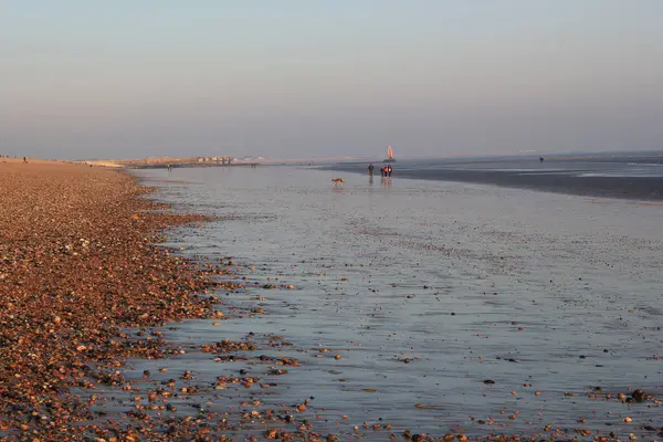 Winchelsea Strand Landschaft Blick Bei Ebbe Aussetzen Flachen Sand Mit — Stockfoto
