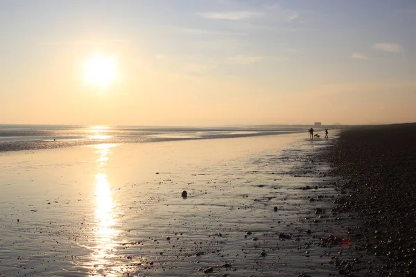 Tramonto Che Riflette Sulla Sabbia Bagnata Beach Tra Spiaggia Winchelsea — Foto Stock