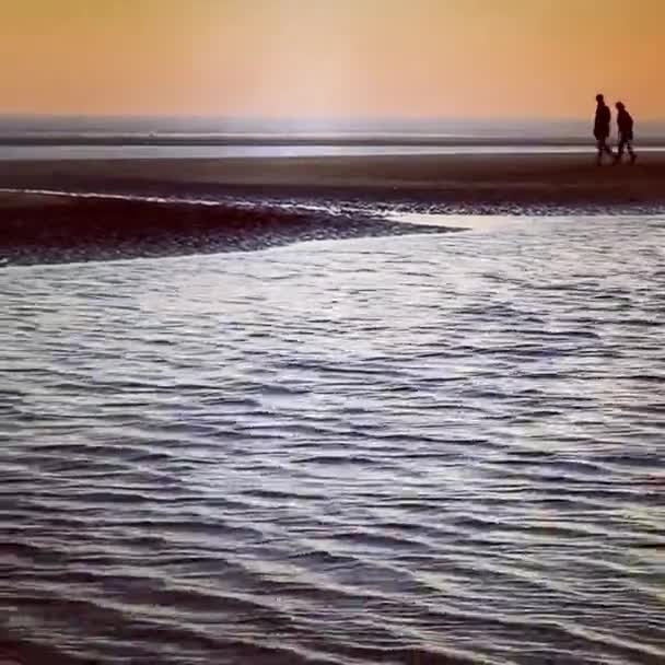 Silhueta Casal Andando Longo Praia Areia Pôr Sol Cão Andando — Vídeo de Stock