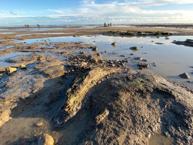 Sunset 'teki Pett Level Plajı. Önünde deniz suyu ve kayalarla dolu bir havuz. Winchelsea Sahili, İngiltere 'nin güney kıyısında, İngiltere' nin doğu Sussex İngiltere 'sinde kayalık bir ormanla kesişiyor.