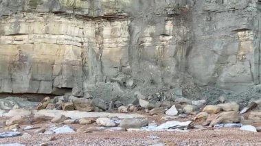 Sunset 'teki Pett Level Plajı. Önünde deniz suyu ve kayalarla dolu bir havuz. Winchelsea Sahili, İngiltere 'nin güney kıyısında, taşlaşmış bir orman olan Pett seviyesindeki kayalıklarla karşılaşıyor.