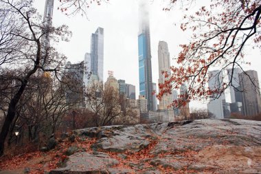 Central Park, New York, Amerika Birleşik Devletleri - 12 Ekim 2020: Central Park, Manhattan 'ın merkezinde çimen ağaçları, havuzlar, çeşmeler, hayvanat bahçesi ve parkın diğer binaları olan bir parktır.. 