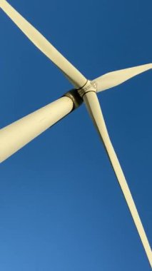 Elektrik enerjisi üreten rüzgar türbinleri. Rüzgâr değirmeni güç üretimi. Mavi gökyüzü ile yeşil alanda duran rüzgar türbinleri. Stok görüntüleri.