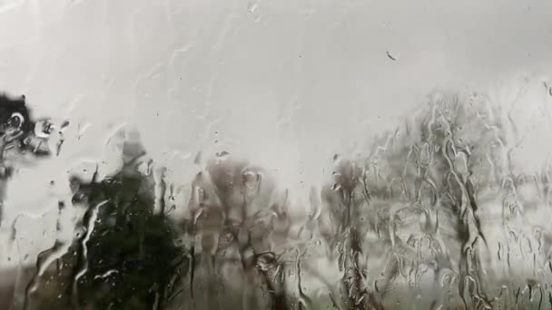 Árvores Soprando Tempestade Ventosa Ventania Chuva Chuva Cair Contra Janela — Vídeo de Stock