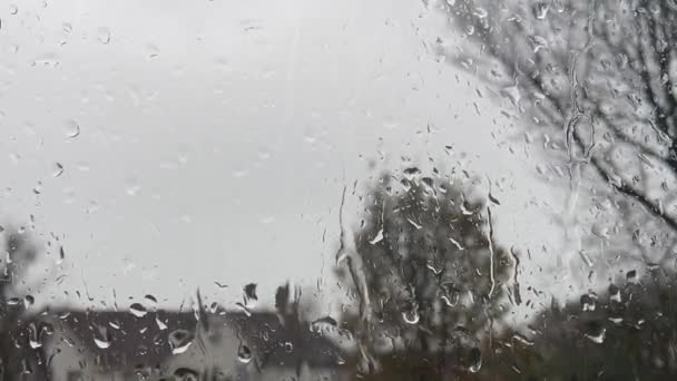 Arbres Soufflant Dans Tempête Venteuse Pluie Goutte Contre Fenêtre — Video