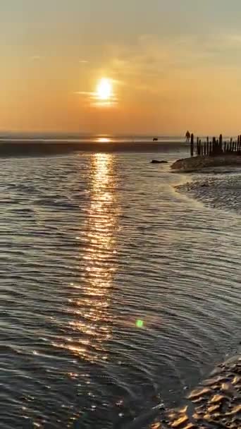 Roggenhafen Winchelsea Strandlandschaft Bei Ebbe Mit Flachem Sand Und Hölzernen — Stockvideo