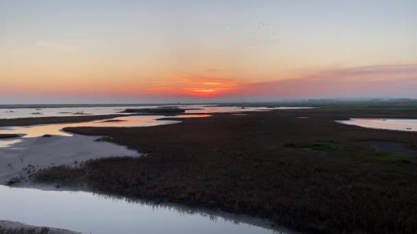 Roggenhafen Winchelsea Strandlandschaft Bei Ebbe Mit Flachem Sand Und Hölzernen — Stockvideo