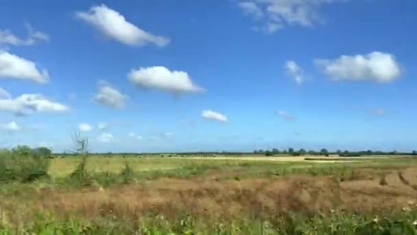 Geniş Açılı Kırsal Arazi Bulutları Mavi Gökyüzü Bir Tren Penceresinden — Stok video