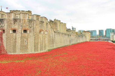 Toprakları ve Tower of London, kırmızı Poppies denizler süpürüldü kan