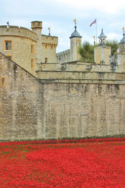 Toprakları ve Tower of London, kırmızı Poppies denizler süpürüldü kan