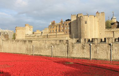 Toprakları ve Tower of London, kırmızı Poppies denizler süpürüldü kan