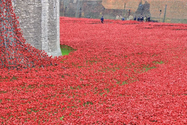 Blood Swept Lands and Seas of Red Poppies — Stock Photo, Image