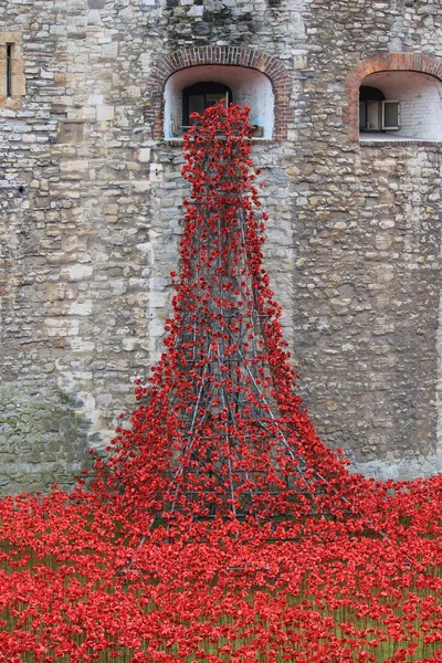 Bloed een cilinderinhoud van land en zee van rode papavers bij Tower of London — Stockfoto