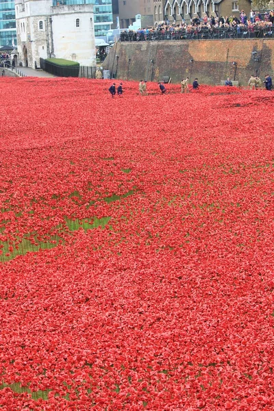 Tierras barridas de sangre y mares de amapolas rojas en la Torre de Londres —  Fotos de Stock