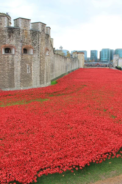 Bloed een cilinderinhoud van land en zee van rode papavers bij Tower of London — Stockfoto