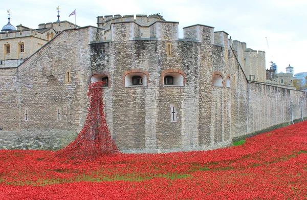 Blood Swept Lands and Seas of Red Poppies at Tower of London — Stock Photo, Image