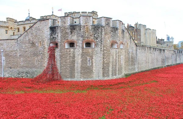 Blood Swept Lands and Seas of Red Poppies at Tower of London — Stock Photo, Image