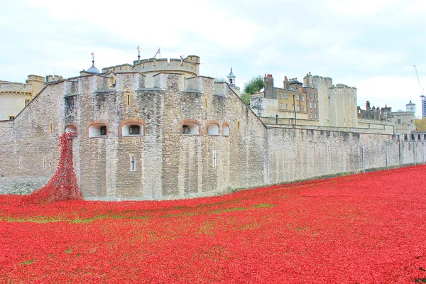 Blood Swept Lands and Seas of Red Poppies at Tower of London — Stock Photo, Image