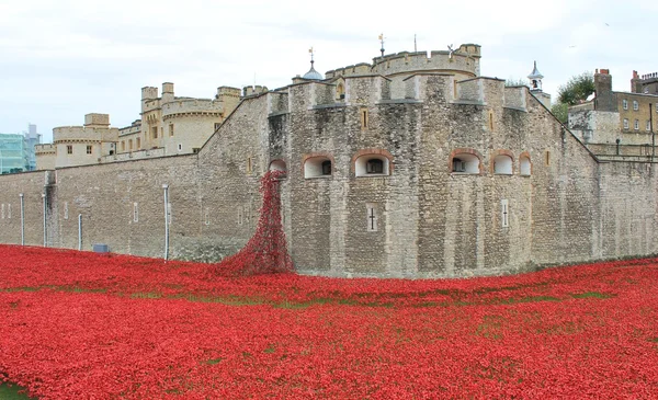 Blood Swept Lands and Seas of Red Poppies at Tower of London — Stock Photo, Image