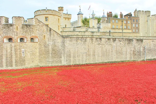 血液席卷土地和海洋的红色罂粟花在伦敦塔 — 图库照片