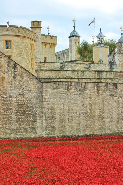 Blood Swept Lands and Seas of Red Poppies at Tower of London — Stock Photo, Image