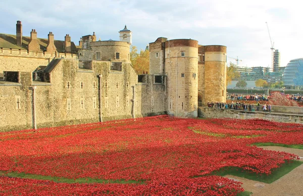 Blood Swept Lands and Seas of Red Poppies at Tower of London — Stock Photo, Image