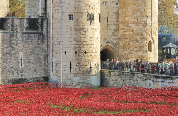 Blood Swept Lands and Seas of Red Poppies at Tower of London — Stock Photo, Image