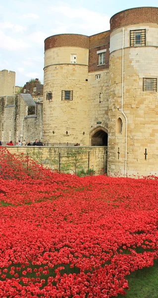 Blood Swept Lands and Seas of Red Poppies at Tower of London — Stock Photo, Image