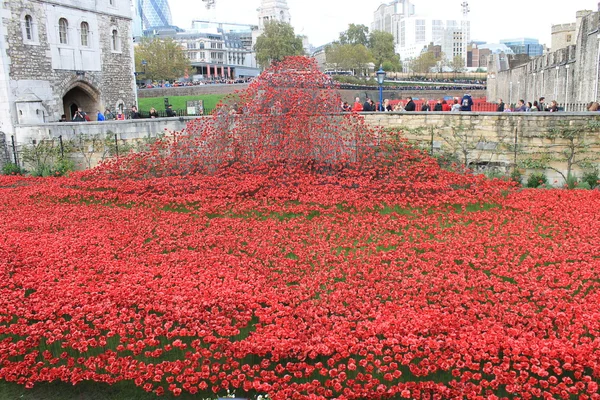 Bloed een cilinderinhoud van land en zee van rode papavers bij Tower of London — Stockfoto