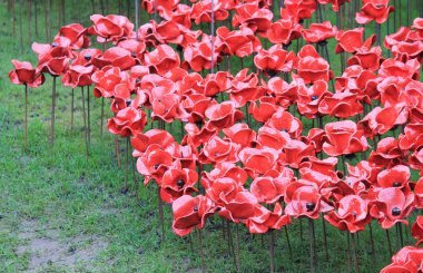 Toprakları ve Tower of London, kırmızı Poppies denizler süpürüldü kan