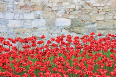 Poppies at Tower of London- Blood Swept Lands and Seas of Red clipart