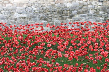 Blood Swept Lands and Seas of Red Poppies at Tower of London clipart