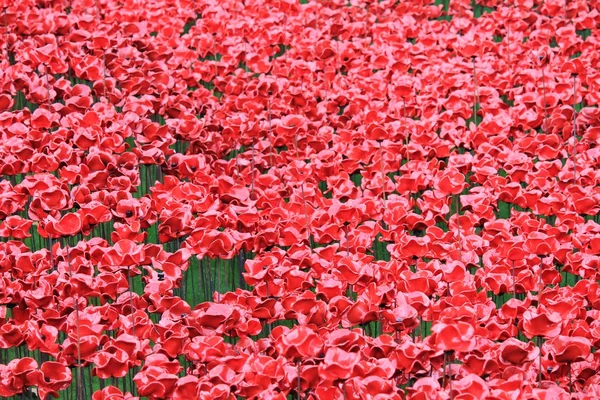 Tierras barridas de sangre y mares de amapolas rojas en la Torre de Londres —  Fotos de Stock