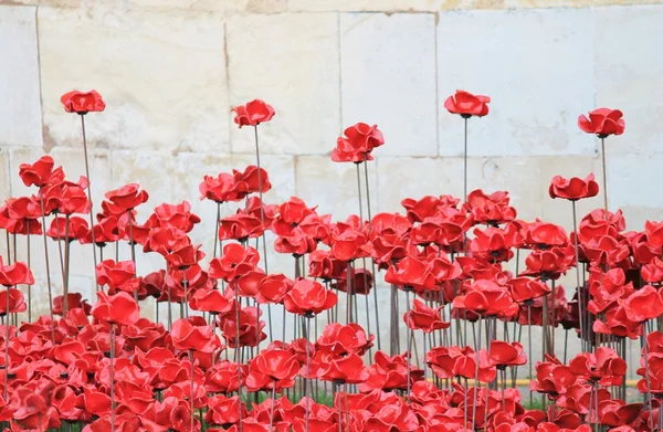 Poppies at Tower of London- Blood Swept Lands and Seas of Red — Stock Photo, Image