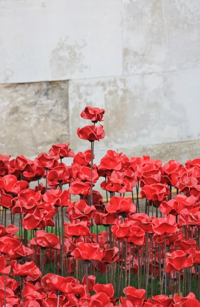 Mohn am Turm von London - Blut gefegte Länder und Meere von Rot — Stockfoto