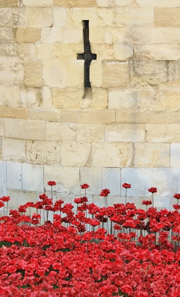 Poppies at Tower of London- Blood Swept Lands and Seas of Red — Stock Photo, Image