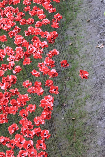 Amapolas en la Torre de Londres - Tierras barridas de sangre y mares de rojo —  Fotos de Stock