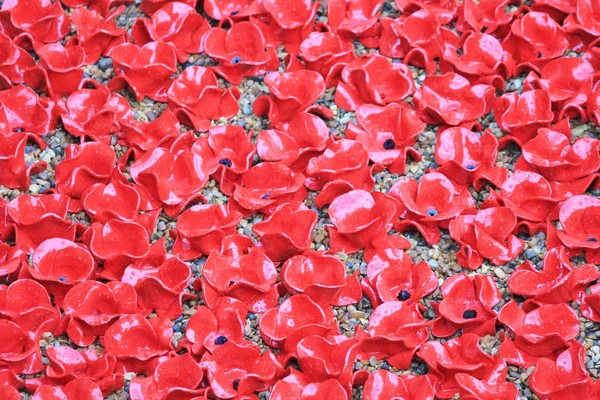 Mohn am Turm von London - Blut gefegte Länder und Meere von Rot — Stockfoto