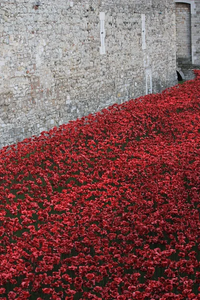 Poppies at Tower of London- Blood Swept Lands and Seas of Red — Stock Photo, Image