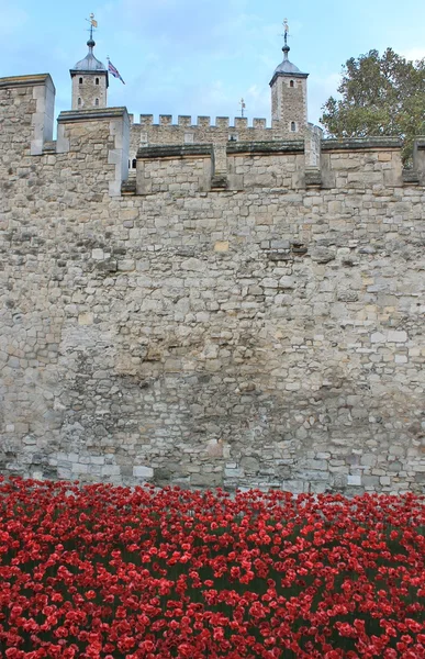 Blood Swept Lands and Seas of Red Poppies at Tower of London — Stock Photo, Image