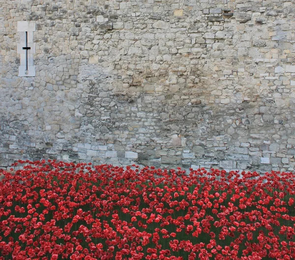 Tierras barridas de sangre y mares de amapolas rojas en la Torre de Londres —  Fotos de Stock