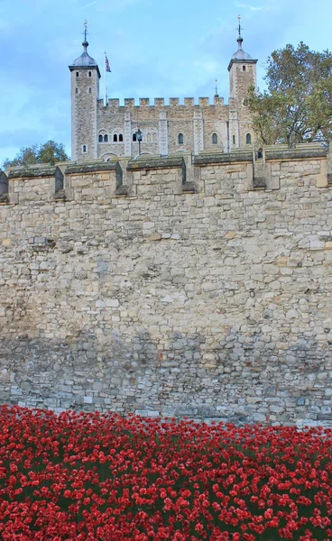 Blood Swept Lands and Seas of Red Poppies at Tower of London — Stock Photo, Image