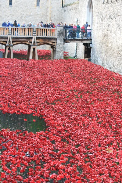 Blood Swept Lands and Seas of Red Poppies at Tower of London — Stock Photo, Image