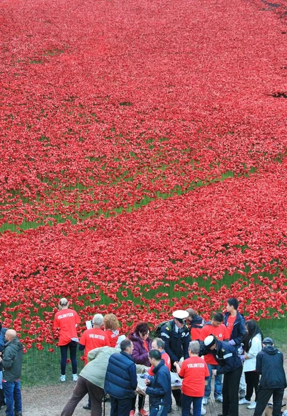 Tierras barridas de sangre y mares de amapolas rojas en la Torre de Londres —  Fotos de Stock