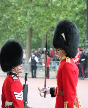 London, UK-July 06, soldier of the royal guard, July 06.2015 in London stock, photo, photograph, image, picture, press,  clipart