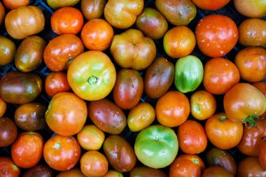 kutusunda farklı domates