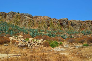 Yunanistan 'ın batı Girit kentindeki Gramvousa adası