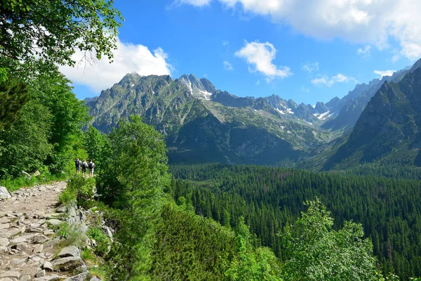 Des Sentiers Menant Lac Popradske Pleso Avec Les Montagnes Des — Photo